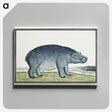 1-1_Robert-Jacob-Gordon_canvas