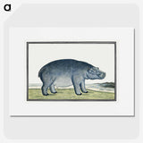1-1_Robert-Jacob-Gordon_picture