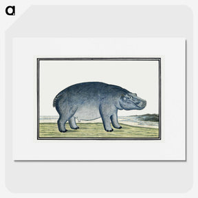1-1_Robert-Jacob-Gordon_picture