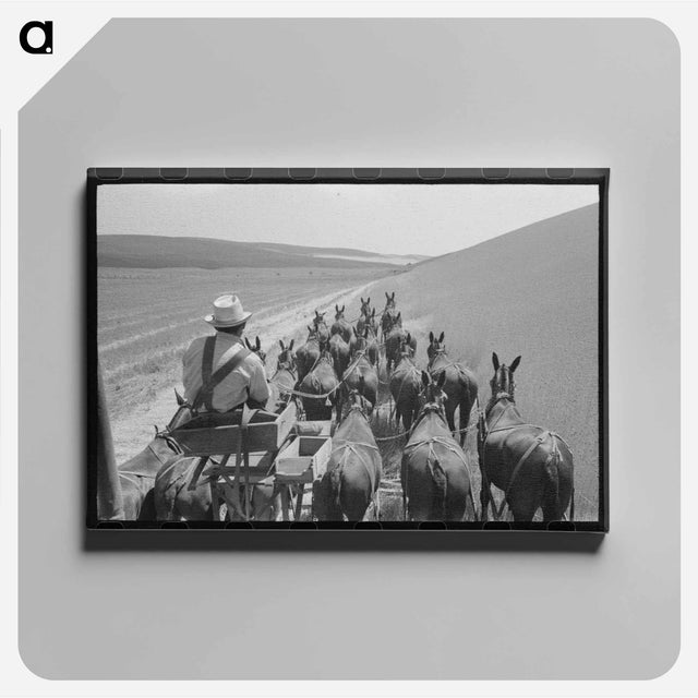 アートパネル-Walla Walla Wheat Harvest
 - ラッセル リー Canvas.