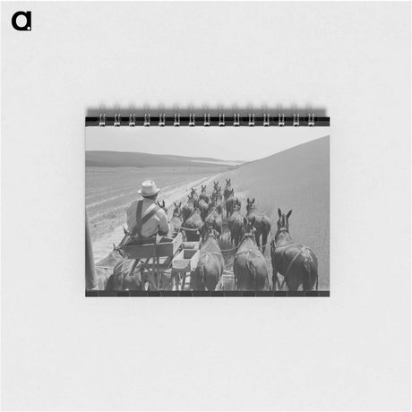 アートメモ帳-Walla Walla Wheat Harvest
 - ラッセル リー Memo.