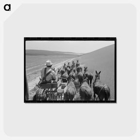 アートポストカード-Walla Walla Wheat Harvest
 - ラッセル リー Postcard.