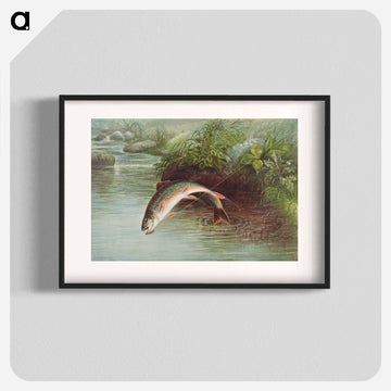 Leaping Brook Trout
 - サミュエル キルボーン Poster.