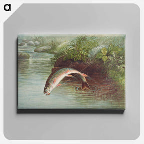 アートパネル-Leaping Brook Trout
 - サミュエル キルボーン Canvas.