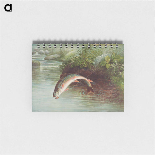 Leaping Brook Trout
 - サミュエル キルボーン Memo.