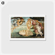 アートポストカード-The Birth of Venus - サンドロ ボッティチェッリ Postcard.