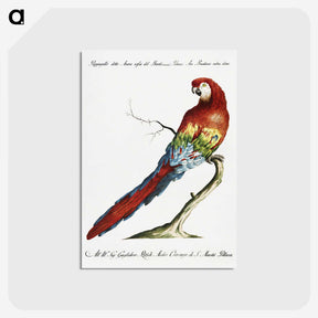 1-1_Saverio-Manetti_postcard
