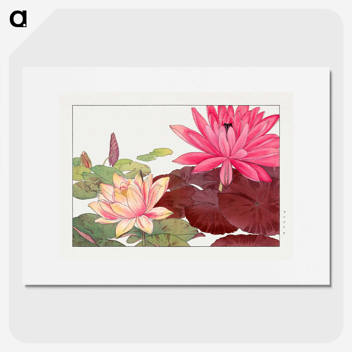 1-1_Seiyo-Soka-Zufu_picture