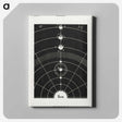 1-1_Solar-Biology_canvas
