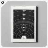 1-1_Solar-Biology_canvas