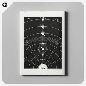 1-1_Solar-Biology_canvas