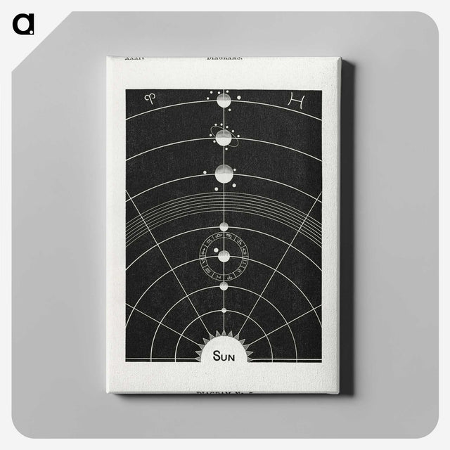 1-1_Solar-Biology_canvas