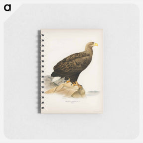 アートメモ帳-White-tailed Eagle
 - スヴェンスカ フォグラル Memo.