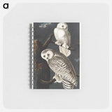アートメモ帳-Snowy Owl from Birds of America
 - アメリカの鳥たち Memo.
