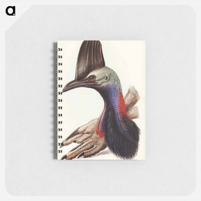 アートメモ帳-Australian Cassowary
 - オーストラリアの鳥 Memo.