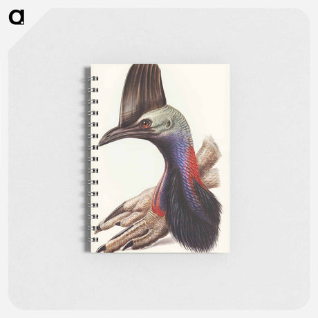 アートメモ帳-Australian Cassowary
 - オーストラリアの鳥 Memo.