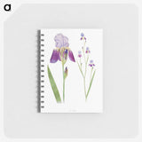 1-1_The-Genus-Iris_memo