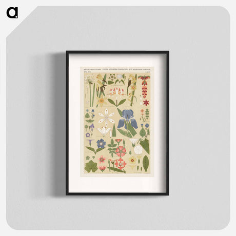 アートポスター-Nineteenth-Century Ornament
 - 装飾の文法 Poster.