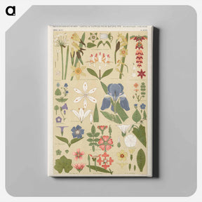 アートパネル-Nineteenth-Century Ornament
 - 装飾の文法 Canvas.