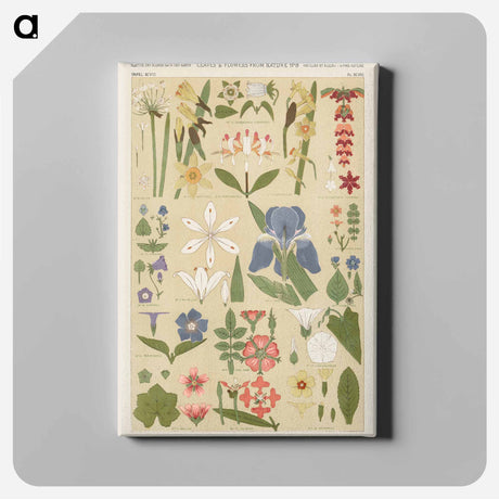 アートパネル-Nineteenth-Century Ornament
 - 装飾の文法 Canvas.