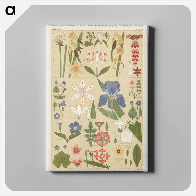 アートパネル-Nineteenth-Century Ornament
 - 装飾の文法 Canvas.