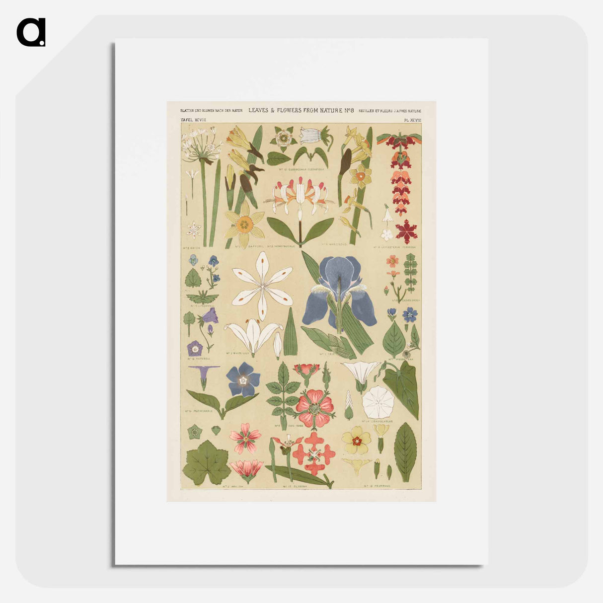 アートポスター-Nineteenth-Century Ornament
 - 装飾の文法 Poster.