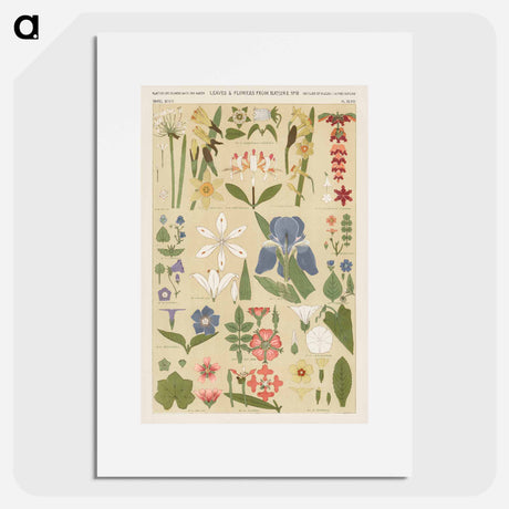 アートポスター-Nineteenth-Century Ornament
 - 装飾の文法 Poster.