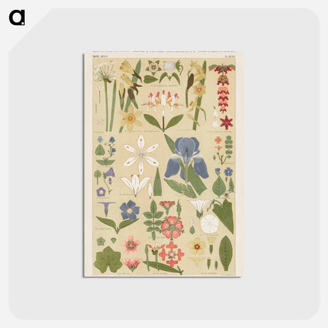 アートポストカード-Nineteenth-Century Ornament
 - 装飾の文法 Postcard.