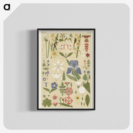 1-1_The-Grammar-of-Ornament_blk-crop