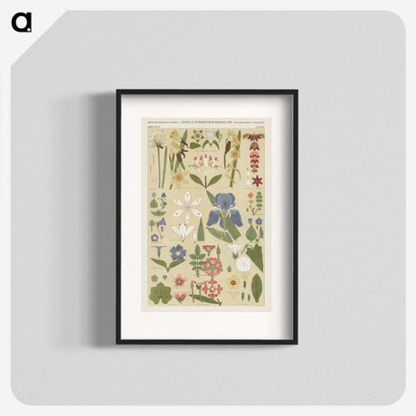 1-1_The-Grammar-of-Ornament_blk