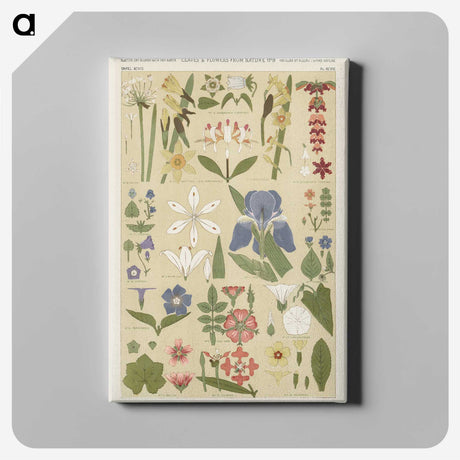 1-1_The-Grammar-of-Ornament_canvas