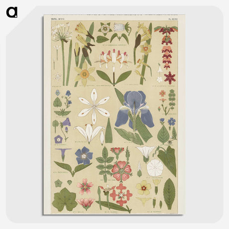 1-1_The-Grammar-of-Ornament_picture-crop