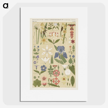 1-1_The-Grammar-of-Ornament_picture
