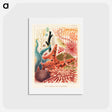 アートポストカード-Great Barrier Reef Echinoderms - オーストラリアのグレートバリアリーフ Postcard.