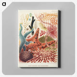 1-1_The-Great-Barrier-Reef-of-Australia_canvas