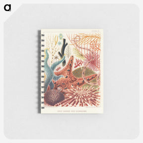 1-1_The-Great-Barrier-Reef-of-Australia_memo