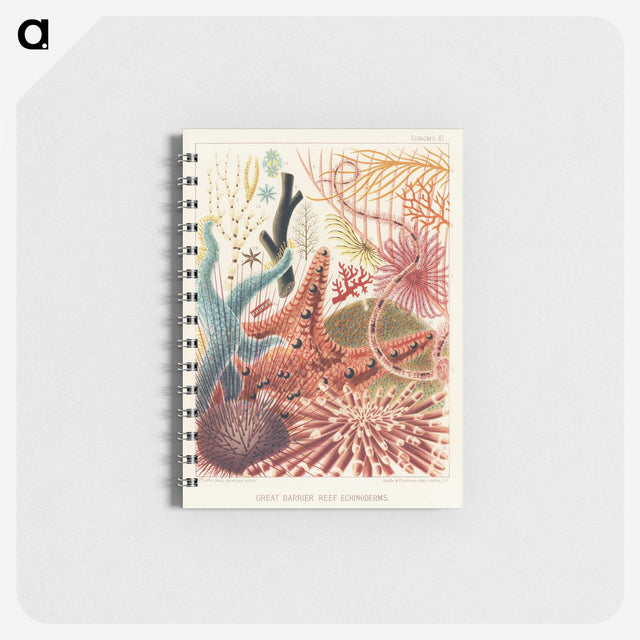 1-1_The-Great-Barrier-Reef-of-Australia_memo