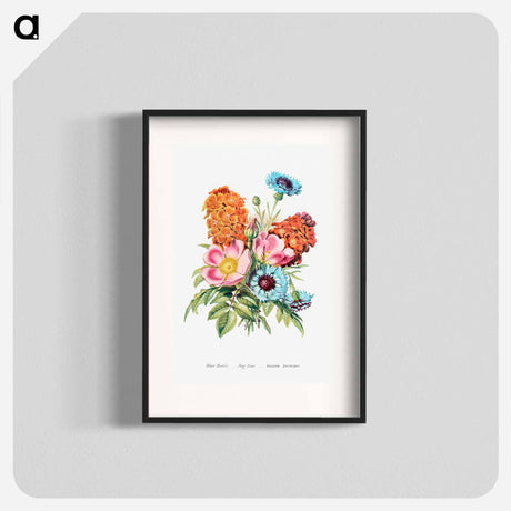 アートポスター-Blue Bottle, Dog Rose and Garden Anemone
 - 花言葉 Poster.