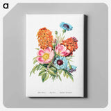 アートパネル-Blue Bottle, Dog Rose and Garden Anemone
 - 花言葉 Canvas.