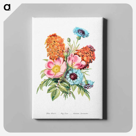 アートパネル-Blue Bottle, Dog Rose and Garden Anemone
 - 花言葉 Canvas.
