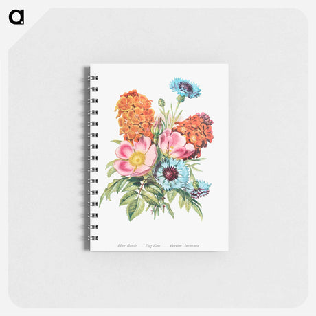 アートメモ帳-Blue Bottle, Dog Rose and Garden Anemone
 - 花言葉 Memo.