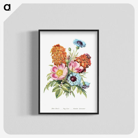 1-1_The-Language-of-Flowers_blk-crop