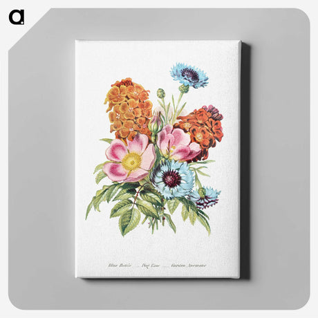 1-1_The-Language-of-Flowers_canvas