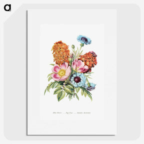 1-1_The-Language-of-Flowers_picture