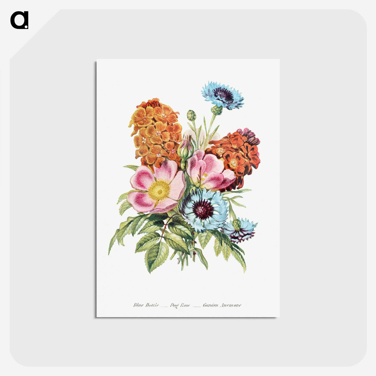 1-1_The-Language-of-Flowers_postcard