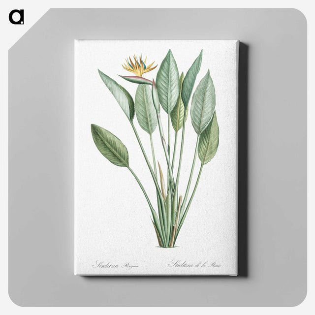 1-1_The-Lilies_canvas