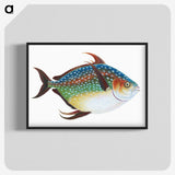 1-1_The-Natural-History-of-British-Fishes_blk-crop