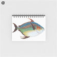 1-1_The-Natural-History-of-British-Fishes_memo