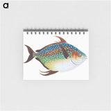 1-1_The-Natural-History-of-British-Fishes_memo