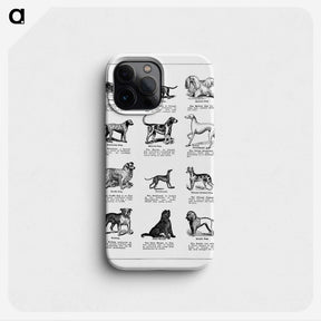 1-1_The-Open-Door-to-Independence_phone